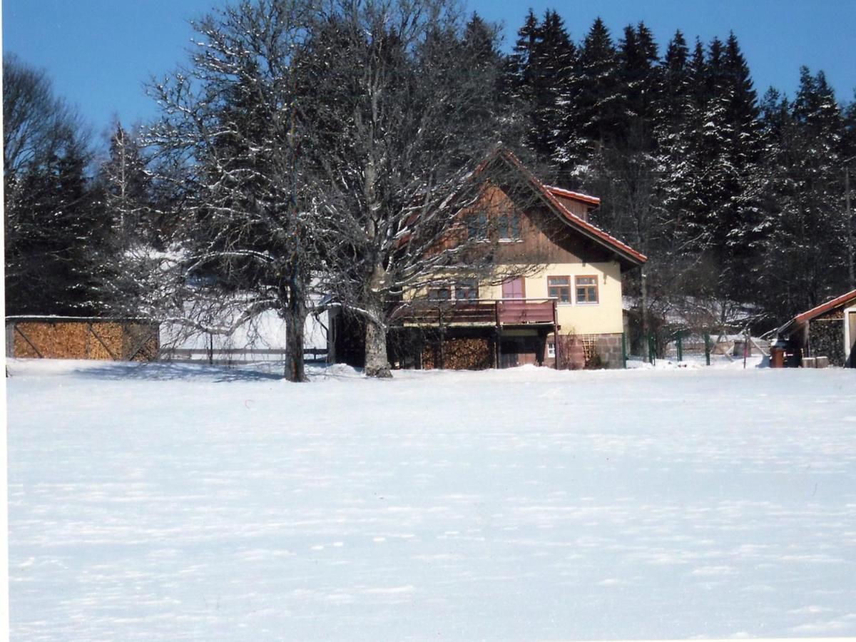 Landhaus Graf Kniebis Dış mekan fotoğraf